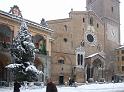 lodineve (141)